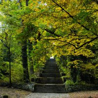 il Parco Frassanelle