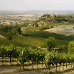 Colli Euganei