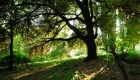 Parco Frassanelle