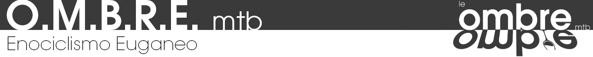 ombre logo