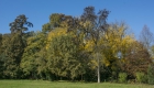 MRM_4058 S