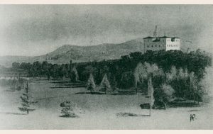 cartolina