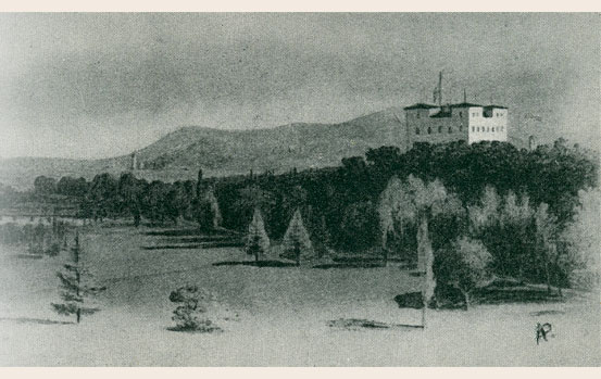 cartolina