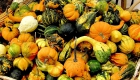 Un bouquet autunnale!
