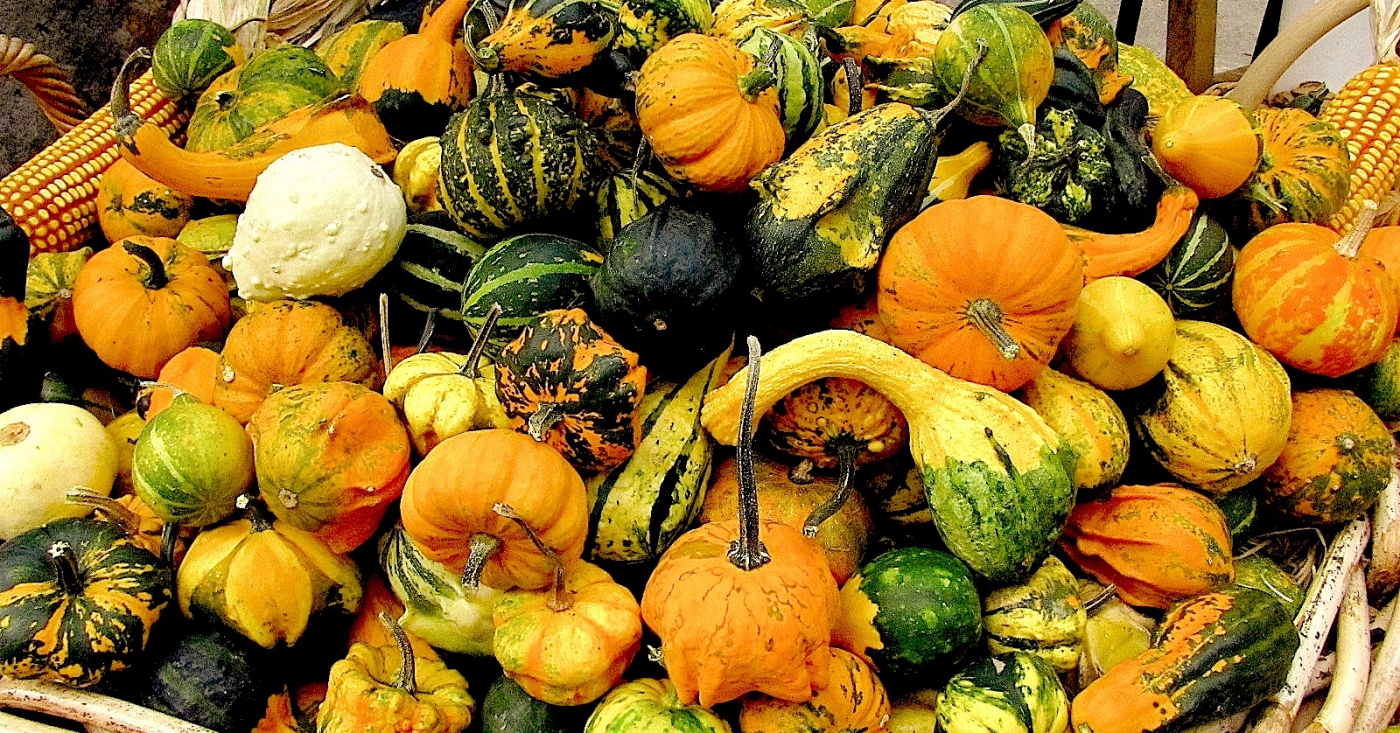 Un bouquet autunnale!
