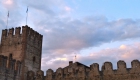 soave3