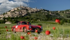 Mille miglia at Parco Sigurtà