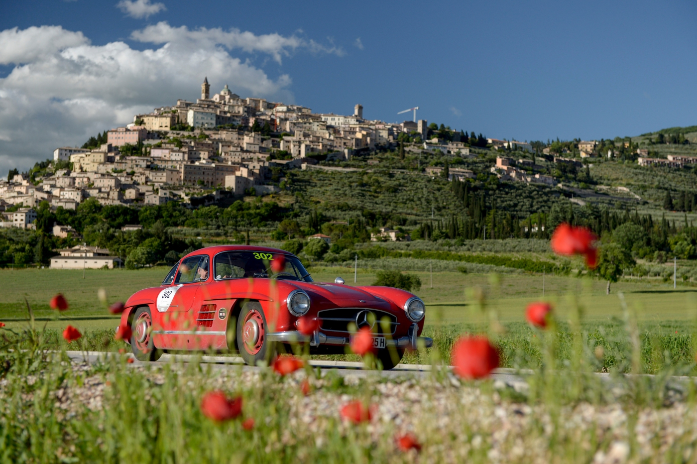 Mille miglia at Parco Sigurtà
