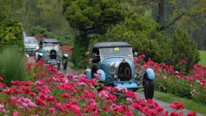 Mille miglia at Parco Sigurtà