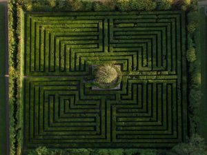 Maze in the garden of Villa Valsanzibio