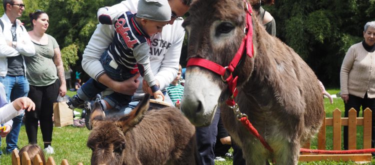 pasquetta colli euganei