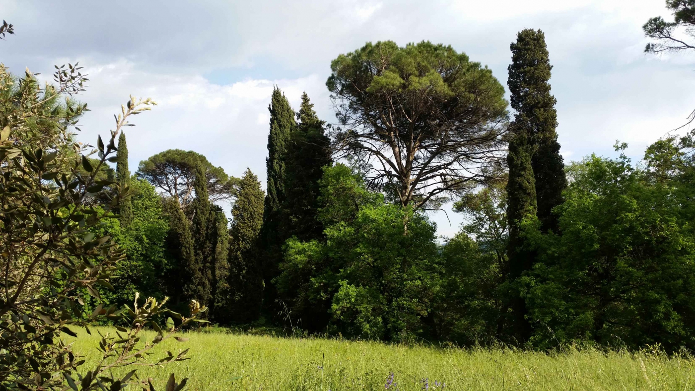 parco2