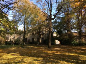 Autunno nel Parco