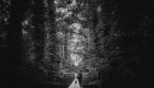 0078_1306_750_0986