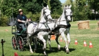 sport attacchi6