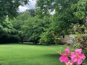 PHOTO-2020-06-10-19-05-16