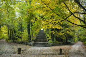 scalinata autunno costantin media