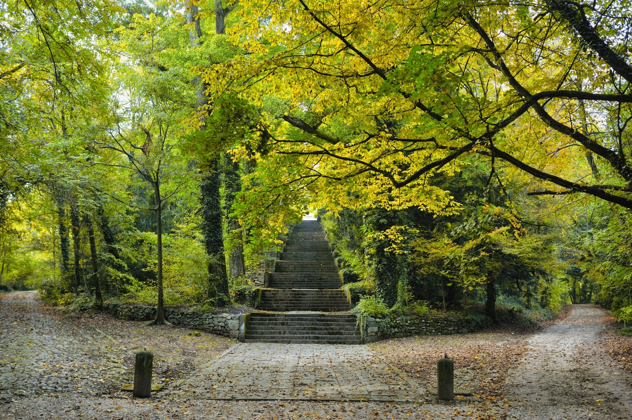 scalinata autunno costantin media
