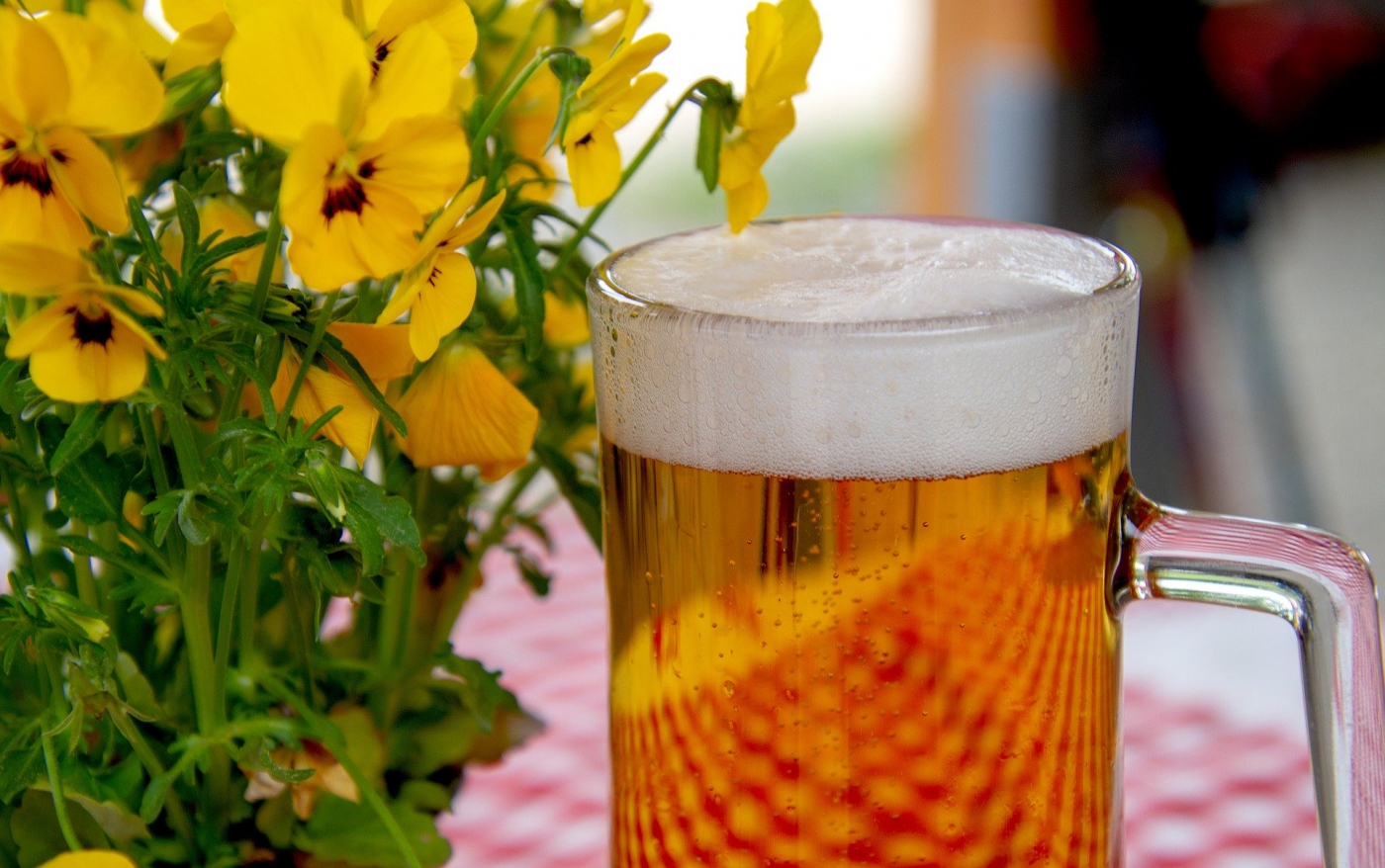 beer-3378136_1920