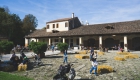 DSC06985
