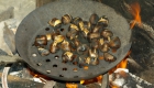 chestnuts-985161_1920