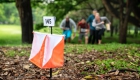 FOTO LANTERNA 2 ORIENTEERING