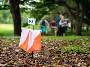 FOTO LANTERNA 2 ORIENTEERING