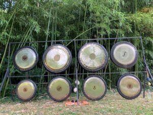 IMG-20210514-WA0005