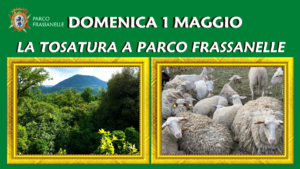 PICNIC D'EPOCA (1)