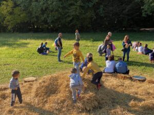 IMG_3531