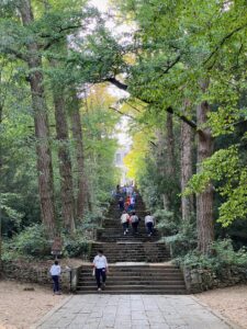 IMG_3737