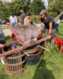 A5CBE221-B8D5-4A11-B8A8-2EF063876F10