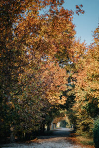 0250_75A_9998 (1)