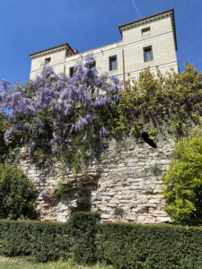 IMG_9932 (1)